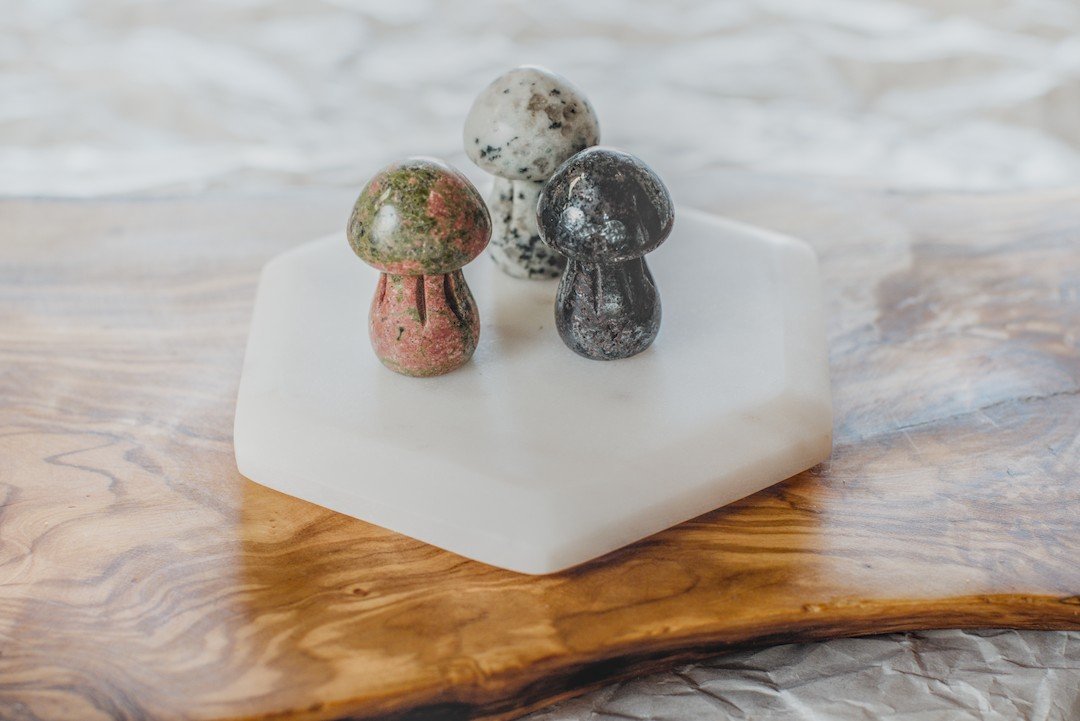Stone MUSHROOMS image 0