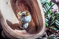 TigersEye Oval Ring image 0