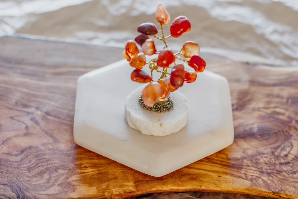 LITTLE CRYSTAL TREES image 10