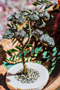 Pyrite Little Crystal Trees