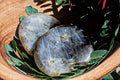 Labradorite - Worry Stone