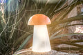 MUSHROOM LAMP image 0