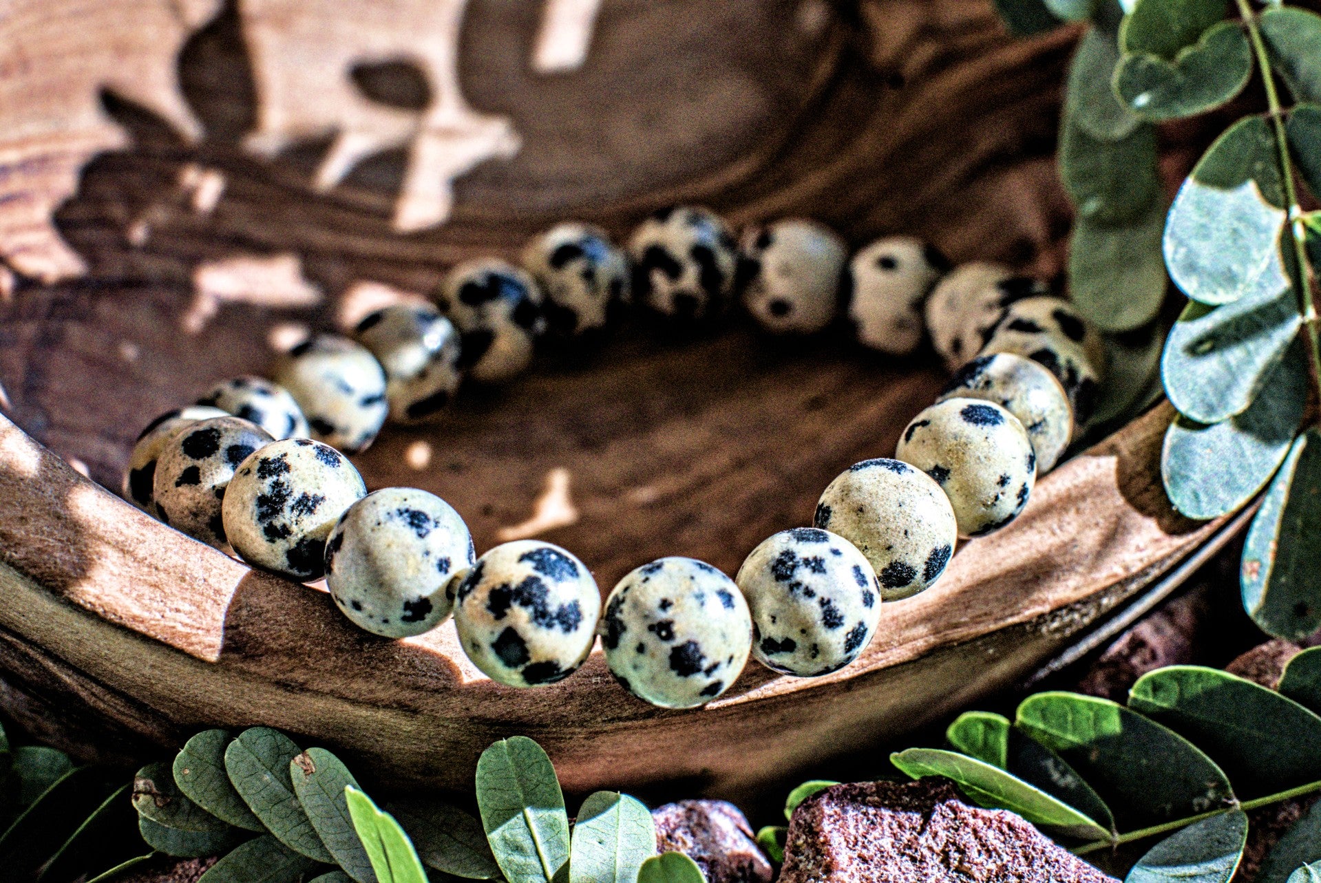 Dalmatian -8mm Bracelet