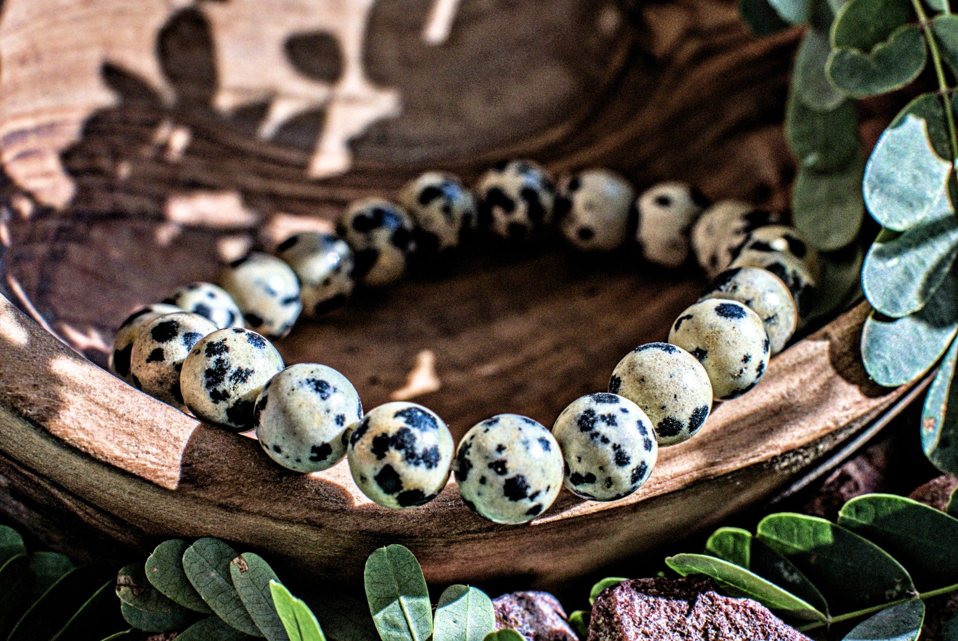 Dalmatian -8mm Bracelet