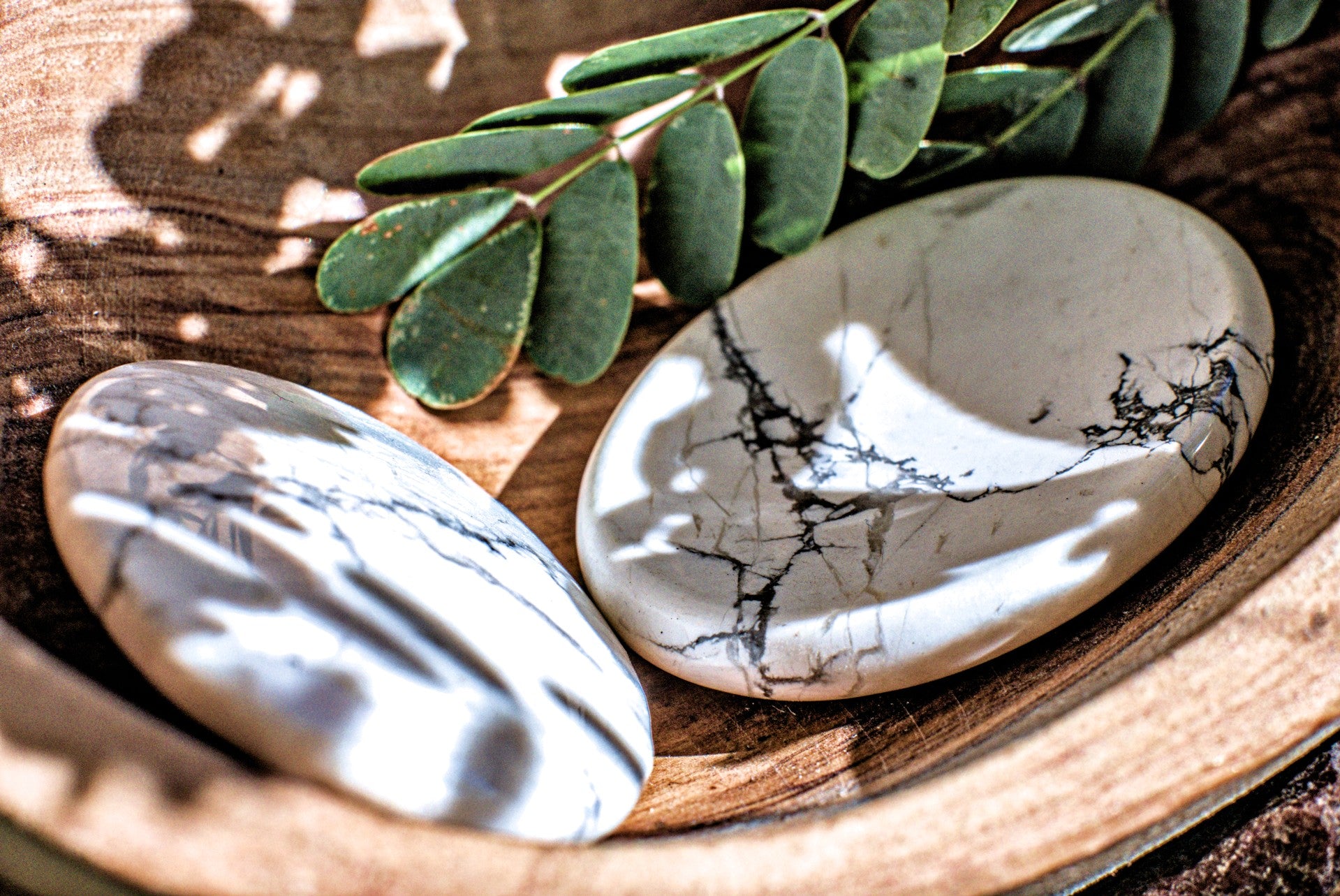 Howlite -Polished Worry Stone